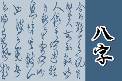 排盘报告阅读顺序