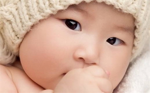 如何读本页示例