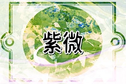 紫微斗数是什么